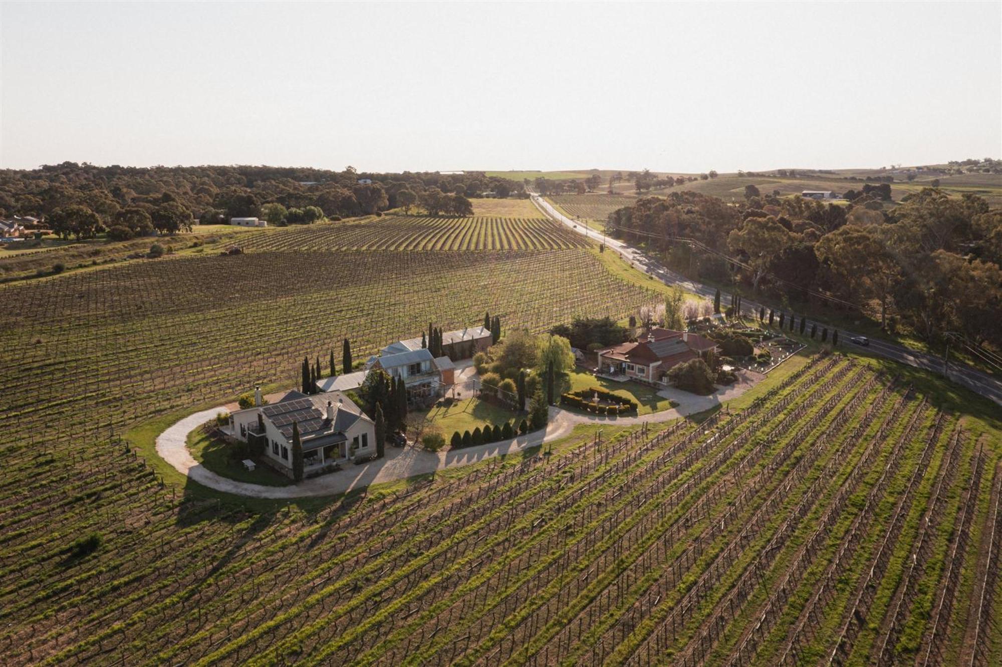 Willa Barossa Shiraz Estate Lyndoch Zewnętrze zdjęcie